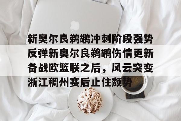 Duomi sports-新奥尔良鹈鹕冲刺阶段强势反弹新奥尔良鹈鹕伤情更新备战欧篮联之后，风云突变浙江稠州赛后止住颓势的简单介绍